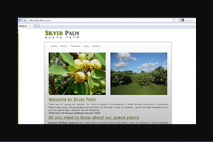 Guava Farm website